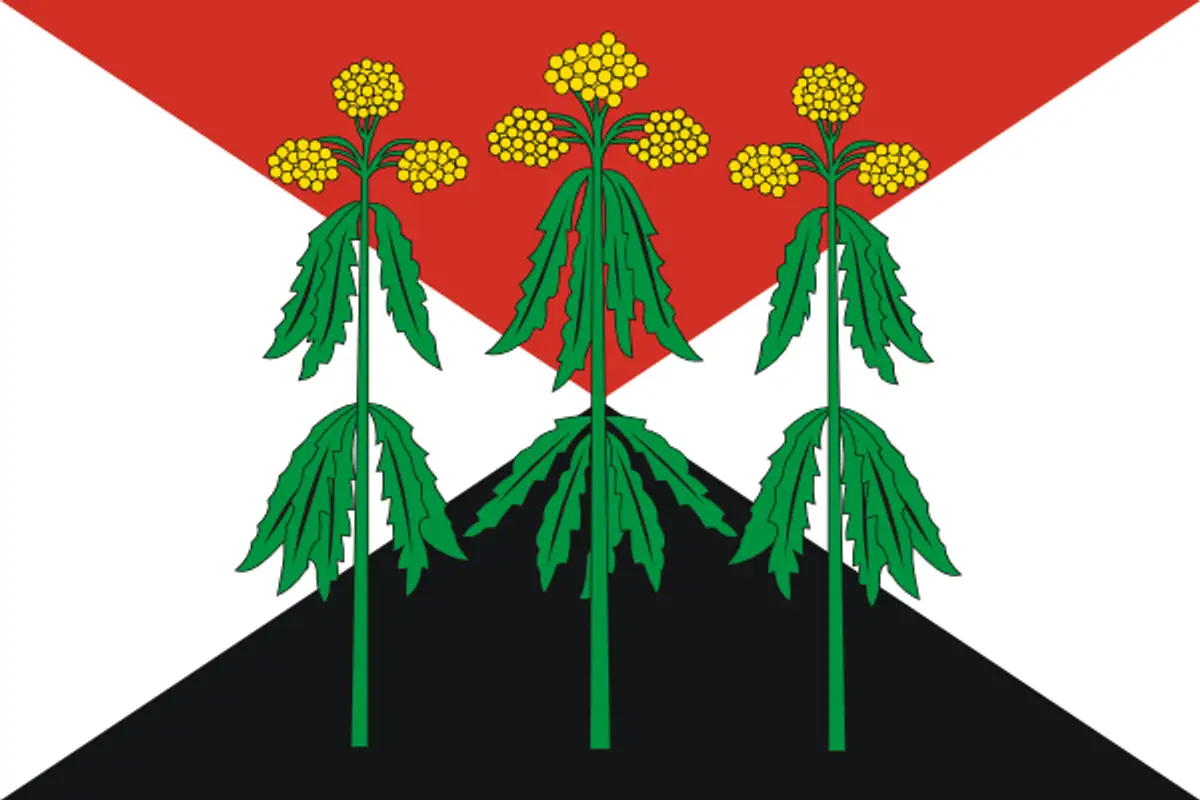 Флаг: Кимовский район